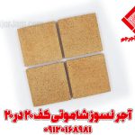 آجر نسوز شاموتی کف و نما 20*20