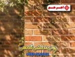 پودر بندکشی گلبهی