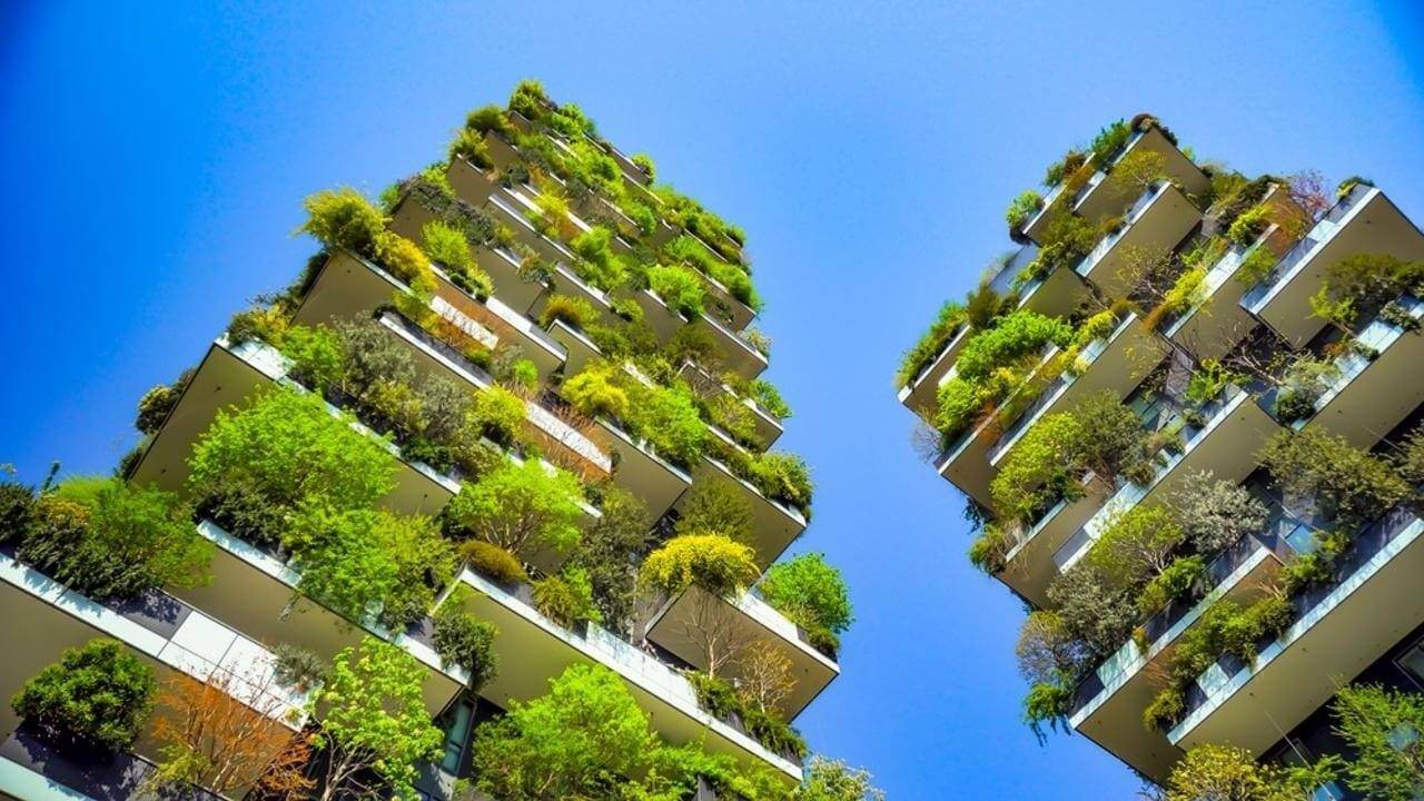 نمای سبز